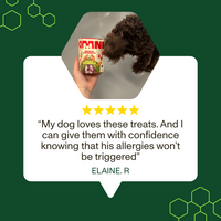 Fruit Crumble Snack Pockets