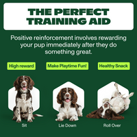 Dog training aid advertisement with three dogs performing different commands on a green background.