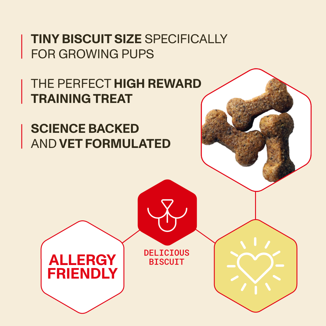 Dog treats with text highlighting features on a beige background