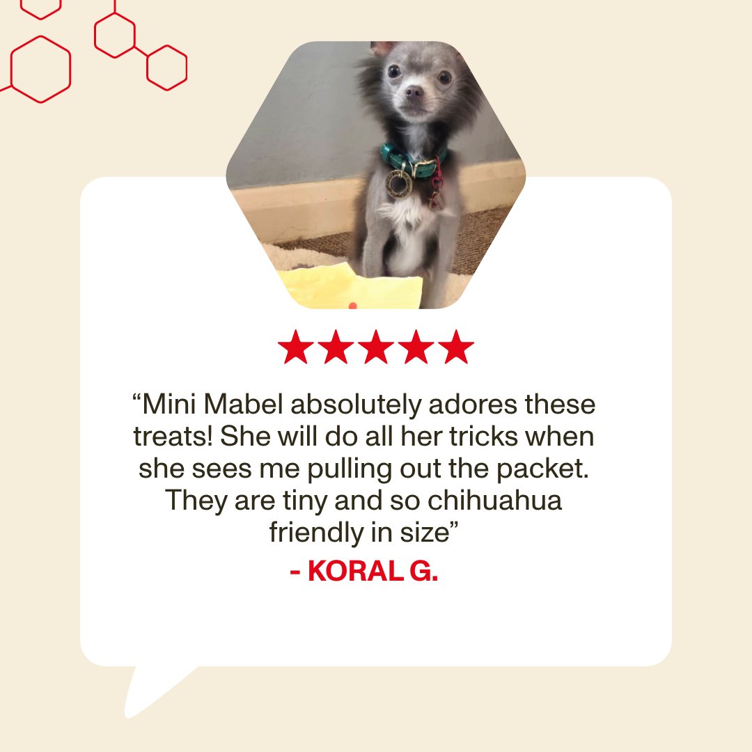 Small dog with a five-star rating and review text on a beige background