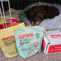 Dog lying on a bed with Omni pet food packages and a box in the foreground.