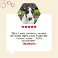 Bull terrier with a five-star rating and customer review on a beige background