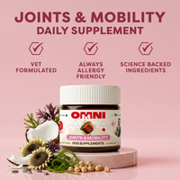 Joints & Mobility Supplement
