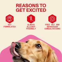 Dog with text 'Reasons to Get Excited' and icons about product features on a beige background
