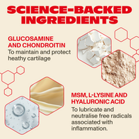 Product ingredients with glucosamine, chondroitin, MSM, L-lysine, and hyaluronic acid on a beige background.