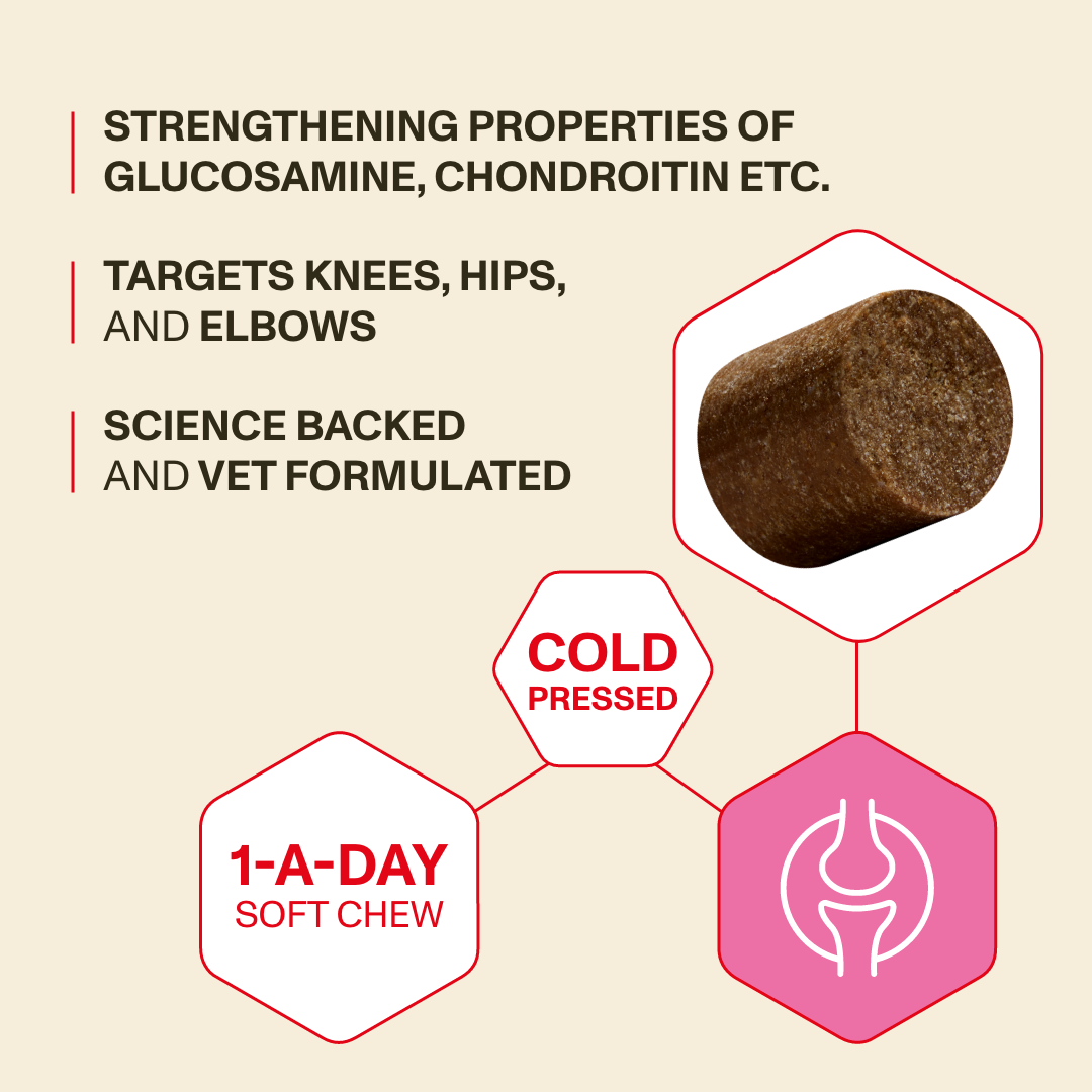 Product packaging with glucosamine, chondroitin, and soft chew information on a beige background