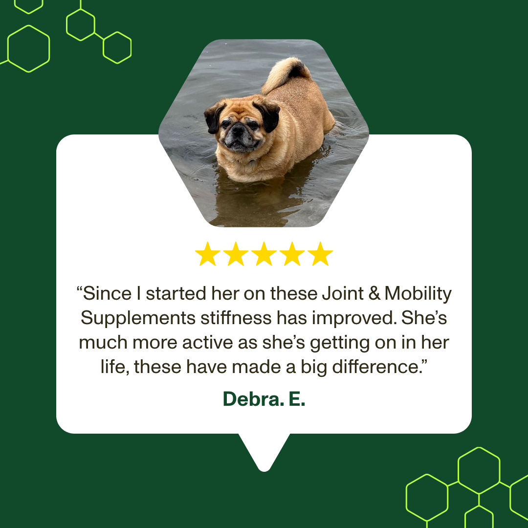 Dog lying on water with a five-star rating and customer review on a green background