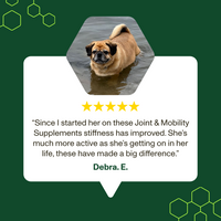 Dog lying on water with a five-star rating and customer review on a green background