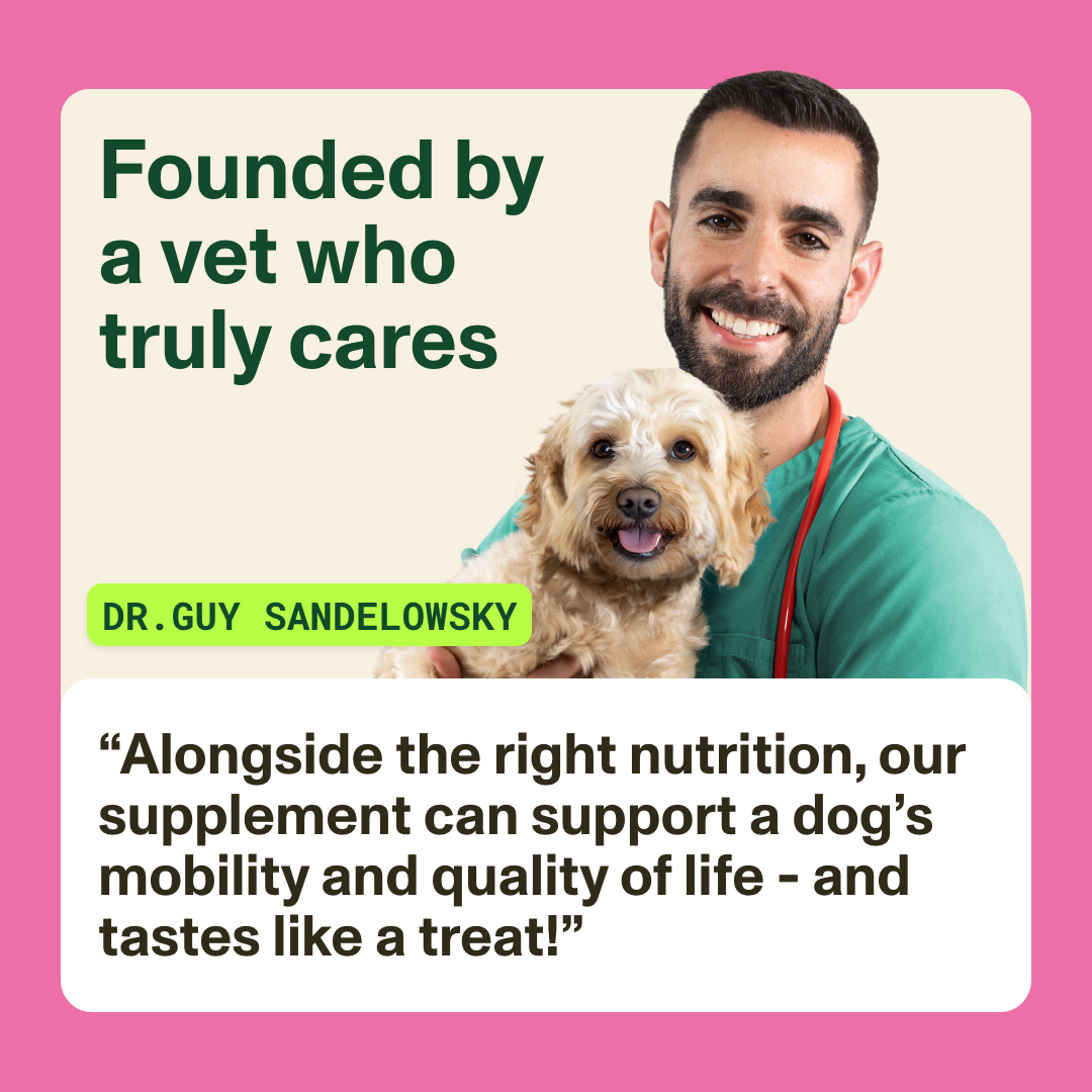 Vet with a dog and promotional text about a supplement for dogs' mobility and quality of life.