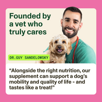 Vet with a dog and promotional text about a supplement for dogs' mobility and quality of life.