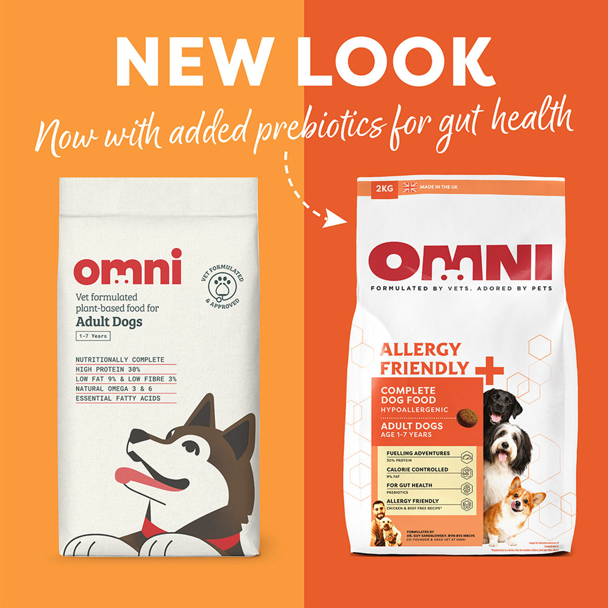 Adult Dry Food