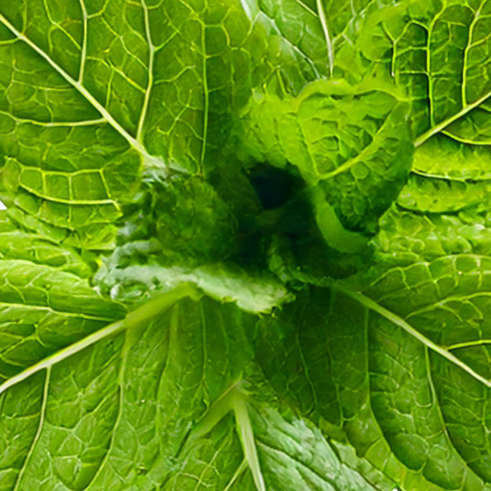 Peppermint