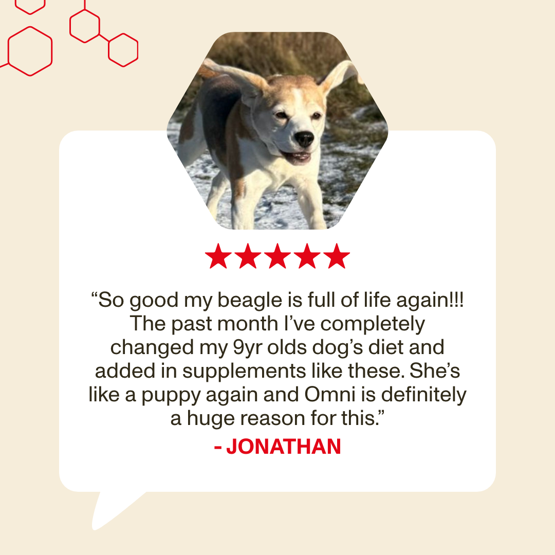 Dog with a five-star rating and review on a beige background