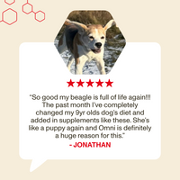 Dog with a five-star rating and review on a beige background