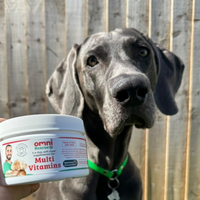 Dog with a container of Omni Rescue Multi Vitamins in front of a wooden fence