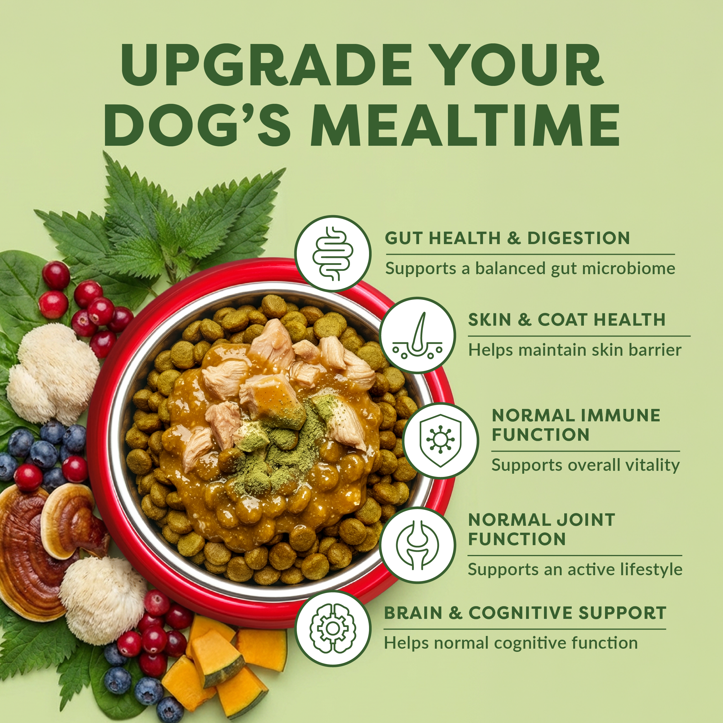 Dog food bowl with ingredients and health benefits on a green background