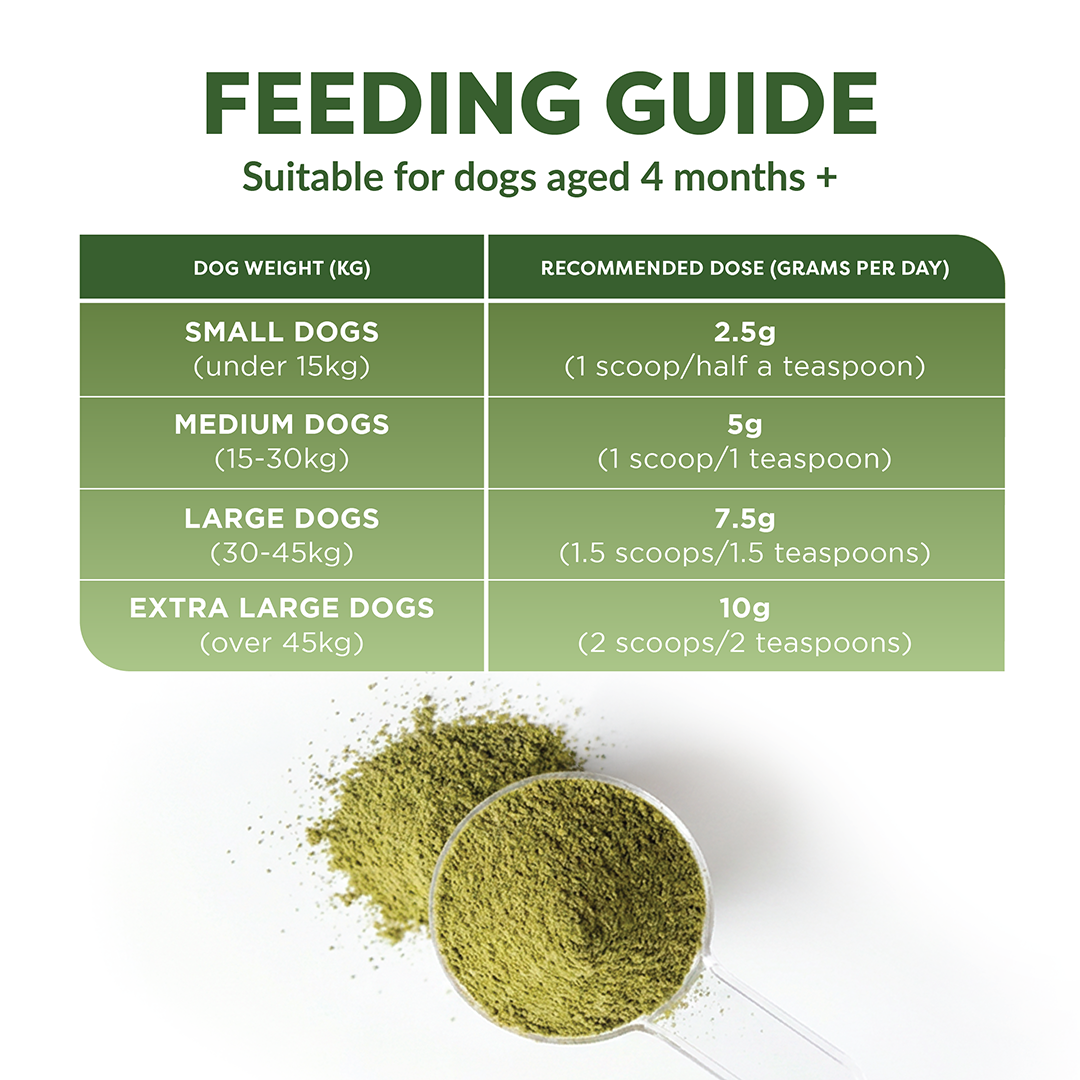 Feeding guide for a green powder with a spoonful of powder on a white background