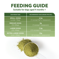 Feeding guide for a green powder with a spoonful of powder on a white background