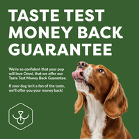 Dog with a 'Taste Test Money Back Guarantee' text on a green background