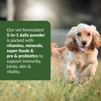 Dog running in a field with a green text box about a vet-formulated daily powder.