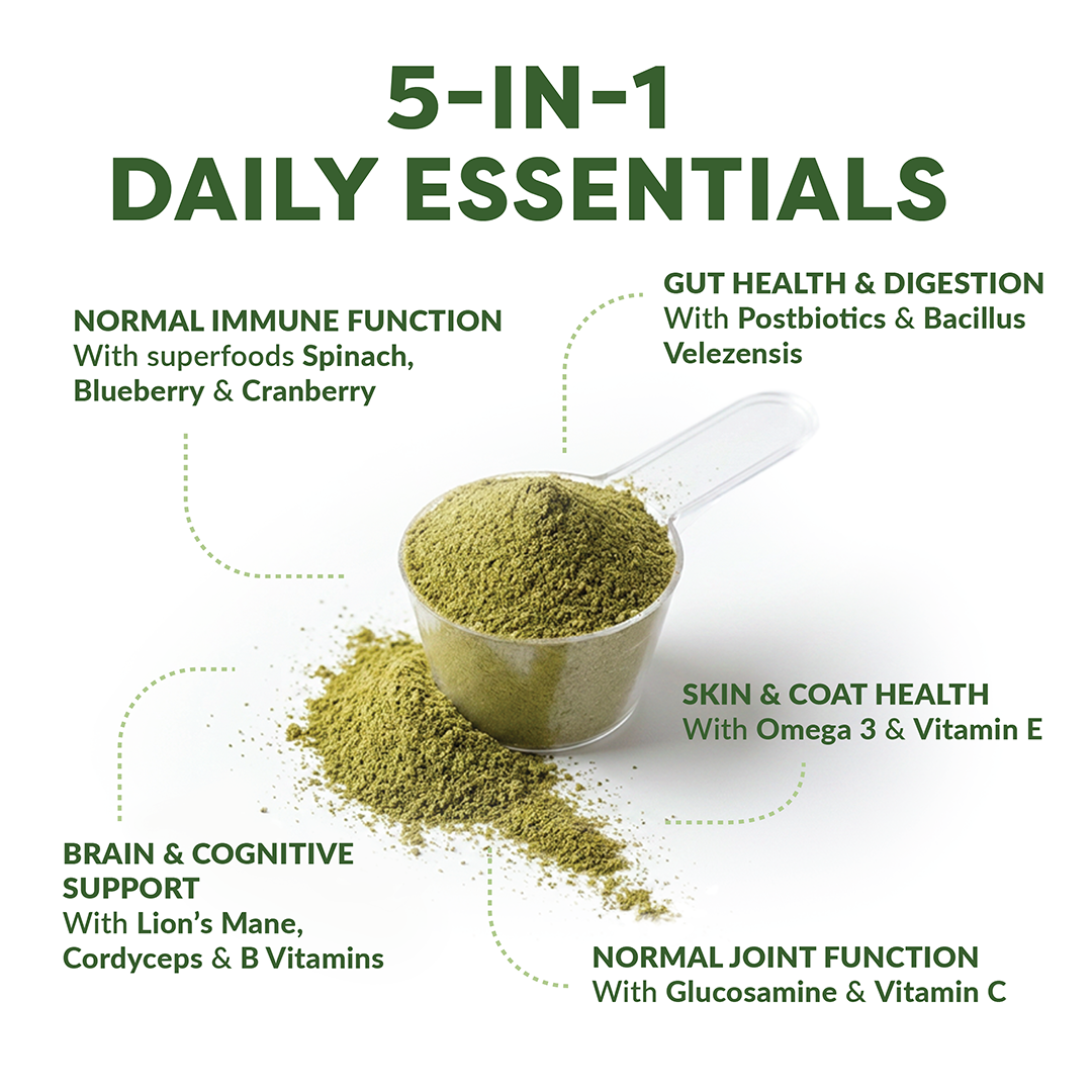 Green powder in a scoop with health benefits listed on a white background