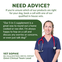 Vet Sophie with a stethoscope, text about product advice and supplement recommendation.