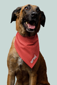 Omni Branded Bandana