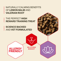 Dog treats with lemon balm and valerian root benefits on a beige background