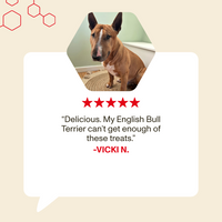 Dog with a five-star rating and review text on a beige background