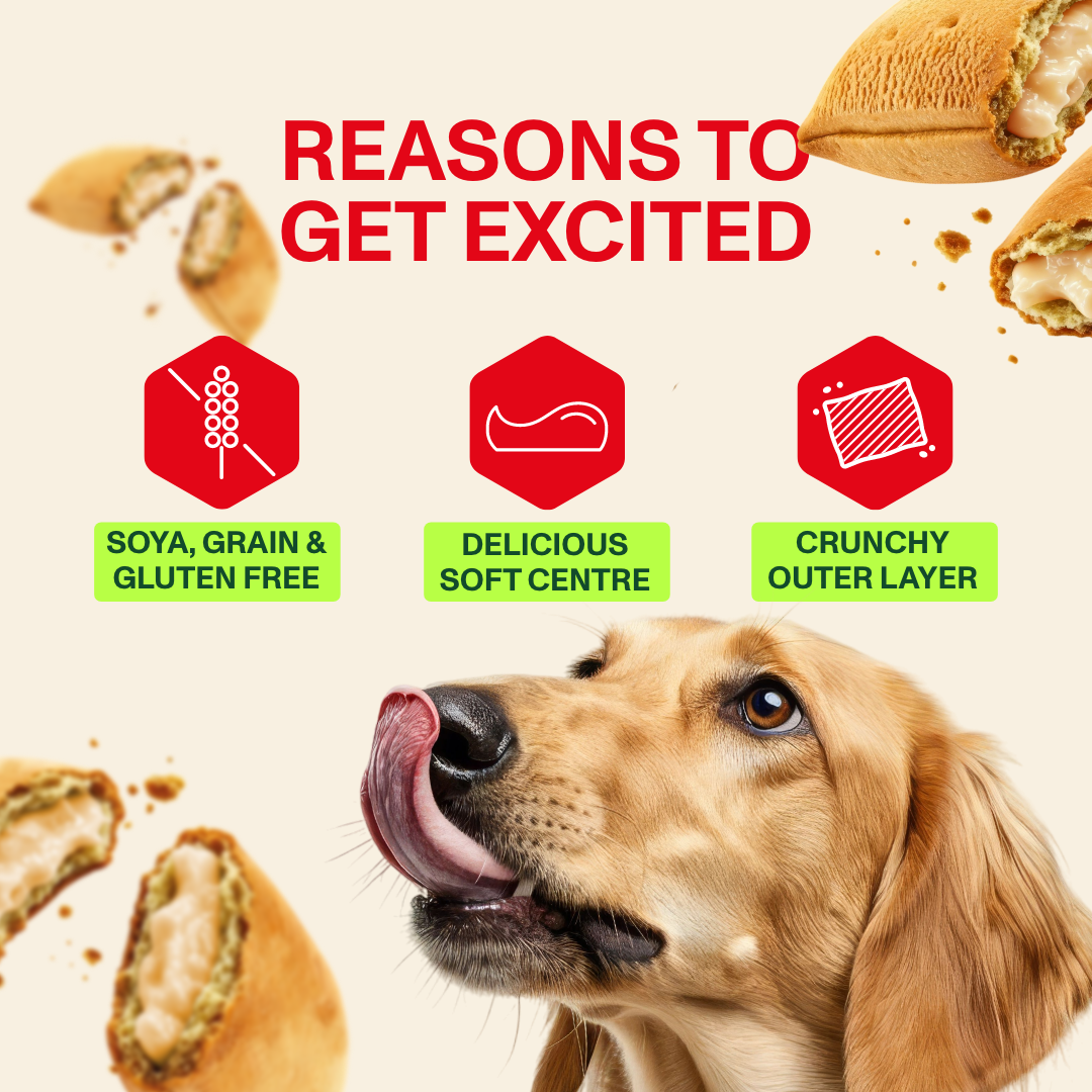 Peanut Brittle Snack Pockets