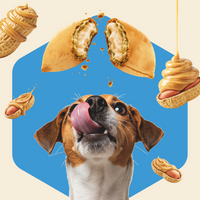 Peanut Brittle Snack Pockets