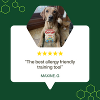 Peanut Brittle Snack Pockets