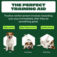 Peanut Brittle Snack Pockets