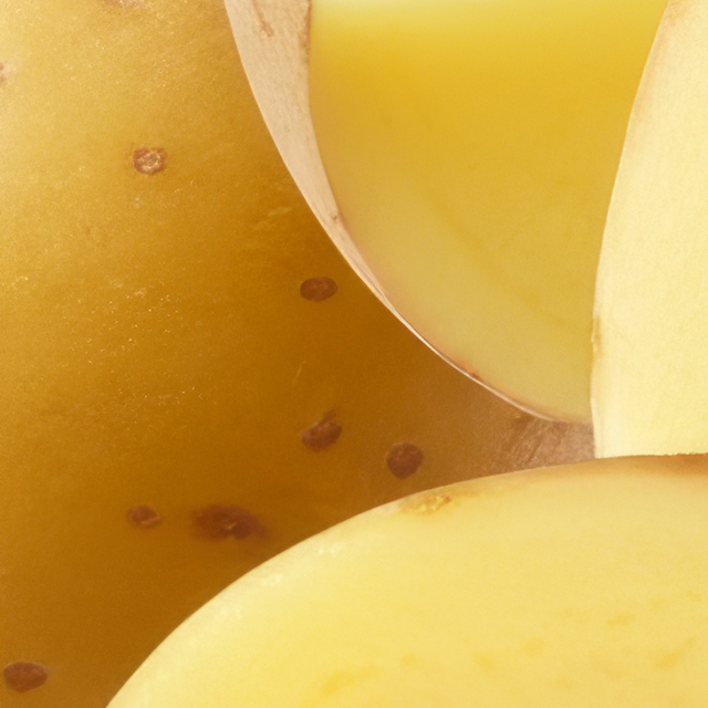 Potato Protein