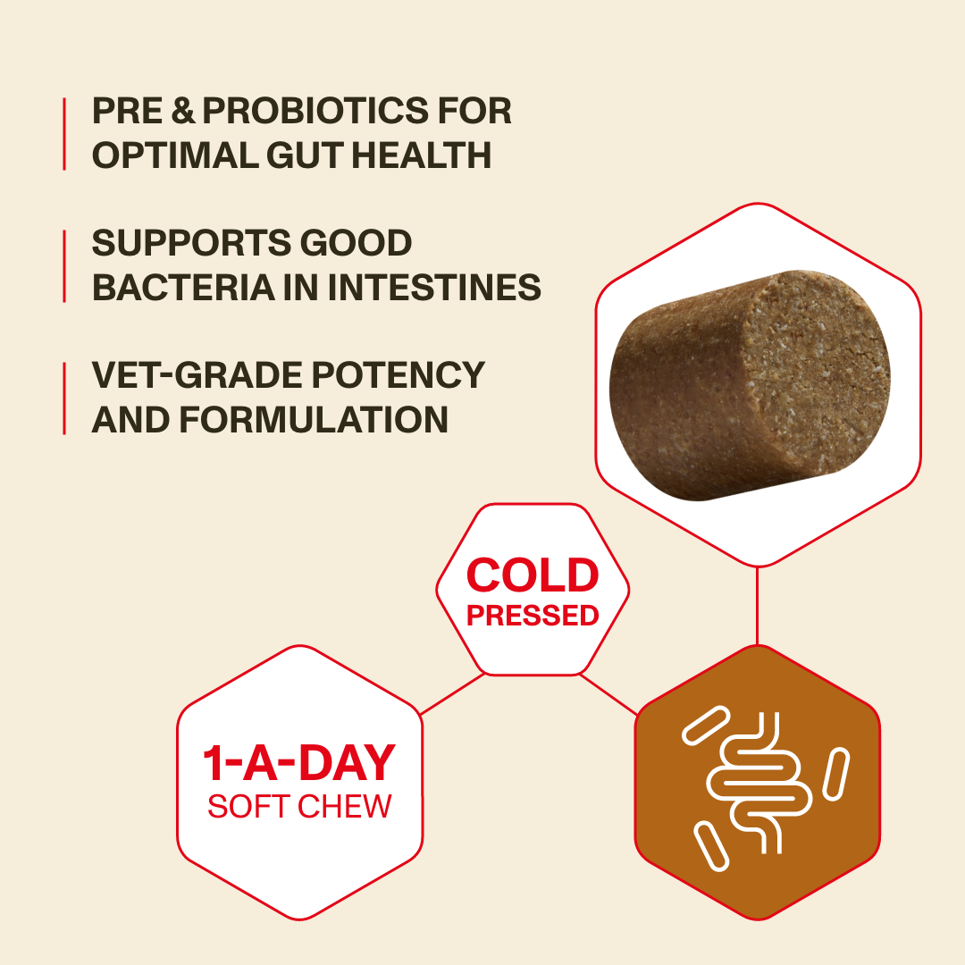 Natural Dog Probiotics for Gut Health & Bloating | Omni – Omni Pet Limited