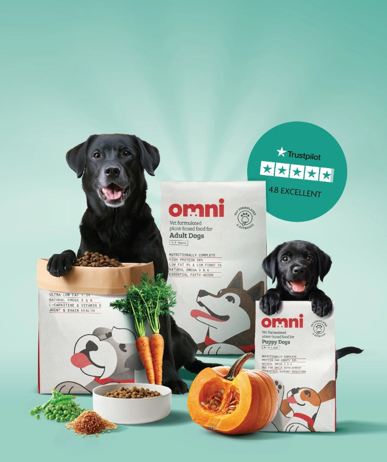 Vegan Dog Food Omni Pet Food Omni pet ltd