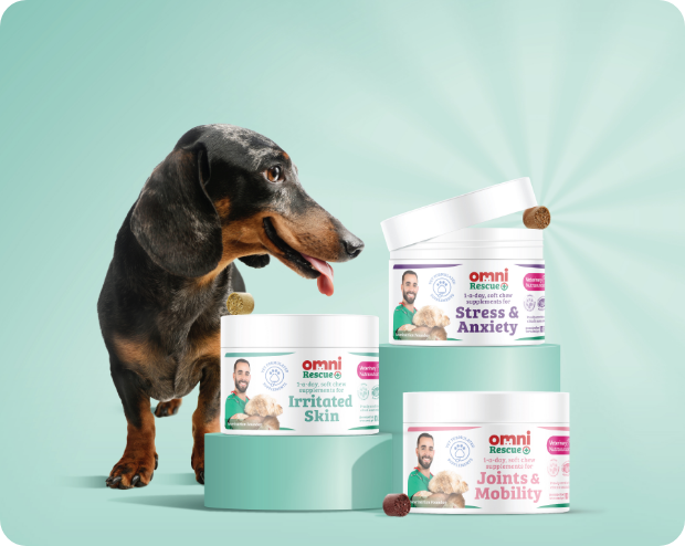 Healthy Vegan Pet Food 100 Plant Based Omni Pet Food Omni pet ltd