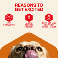 Dog with a tongue out, promotional text about reasons to get excited, and icons for vet formulation, allergy friendliness, and free consultations on a beige background.