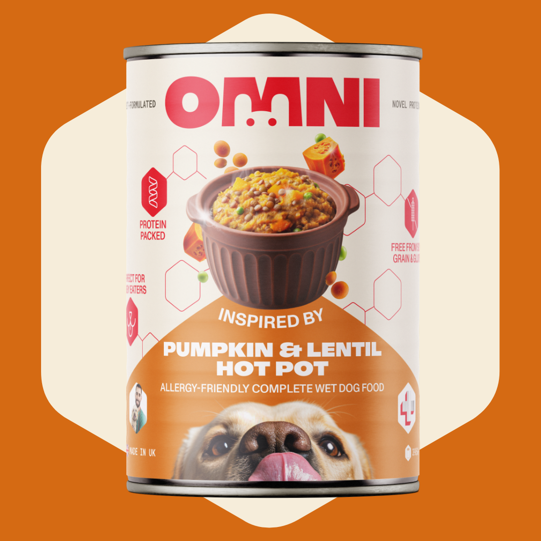 Can of Omni dog food with pumpkin and lentil hot pot flavor on an orange background