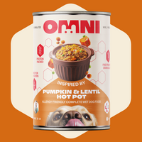 Can of Omni dog food with pumpkin and lentil hot pot flavour on an orange background