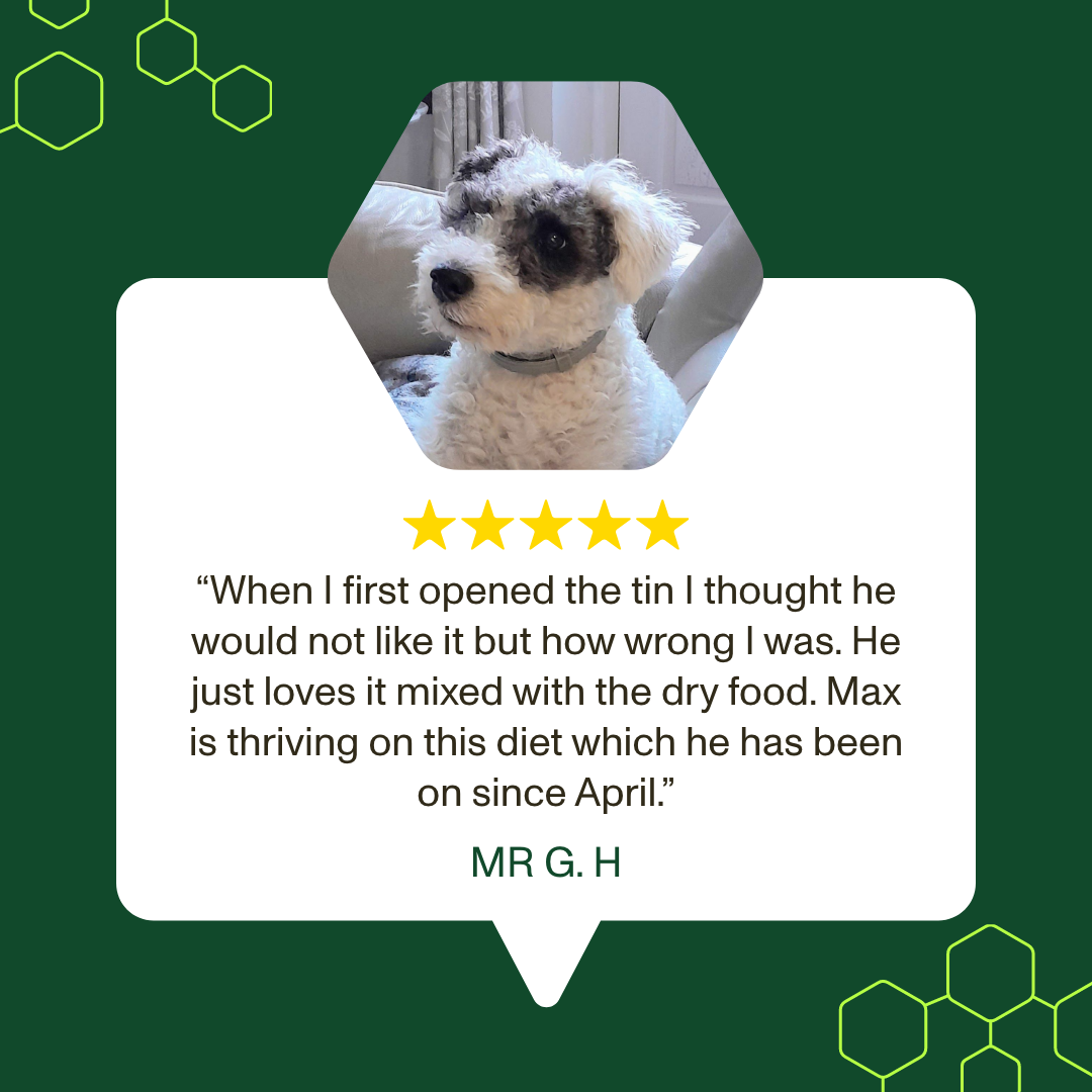 Dog with a five-star rating review on a green background