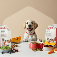 Puppy Dry Food