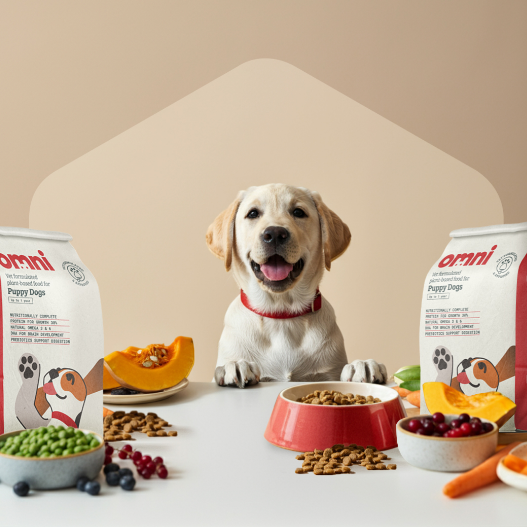Puppy Dry Food - 1