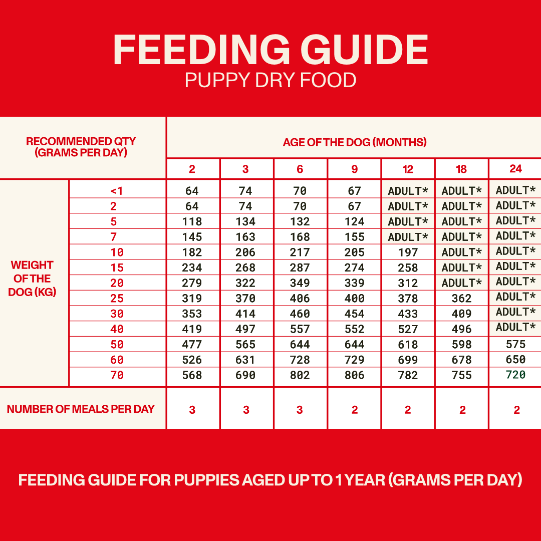 Puppy Dry Food
