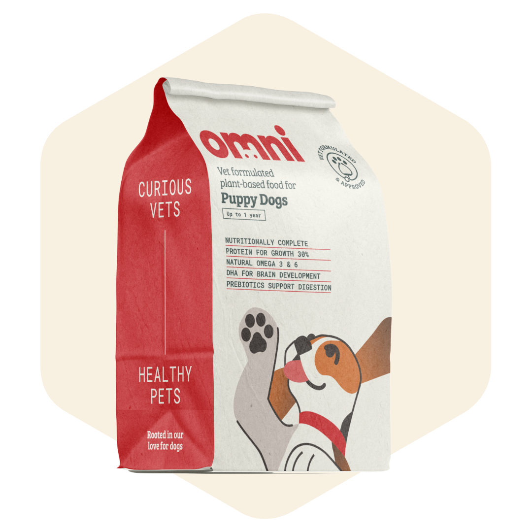 Puppy Dry Food