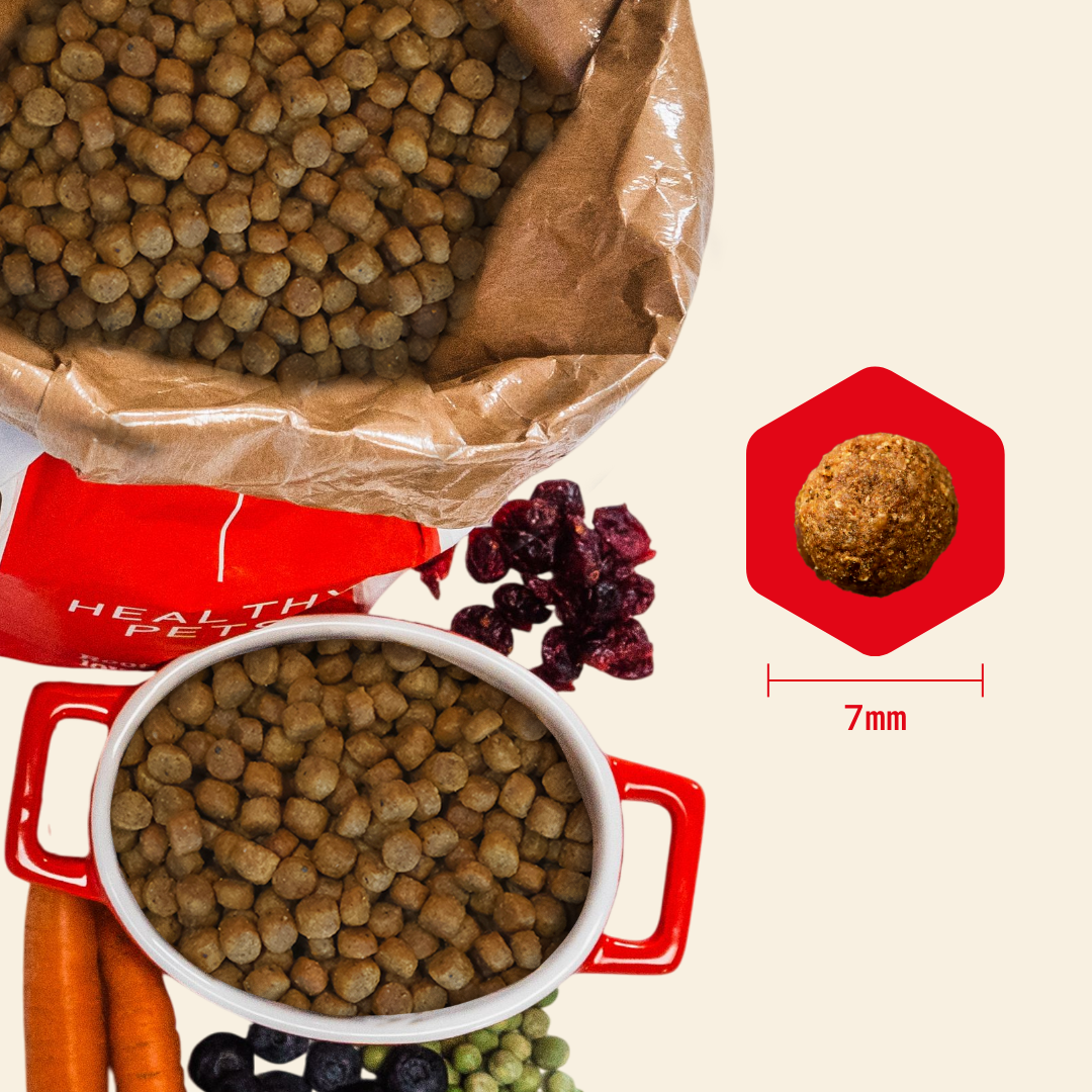 Puppy Dry Food