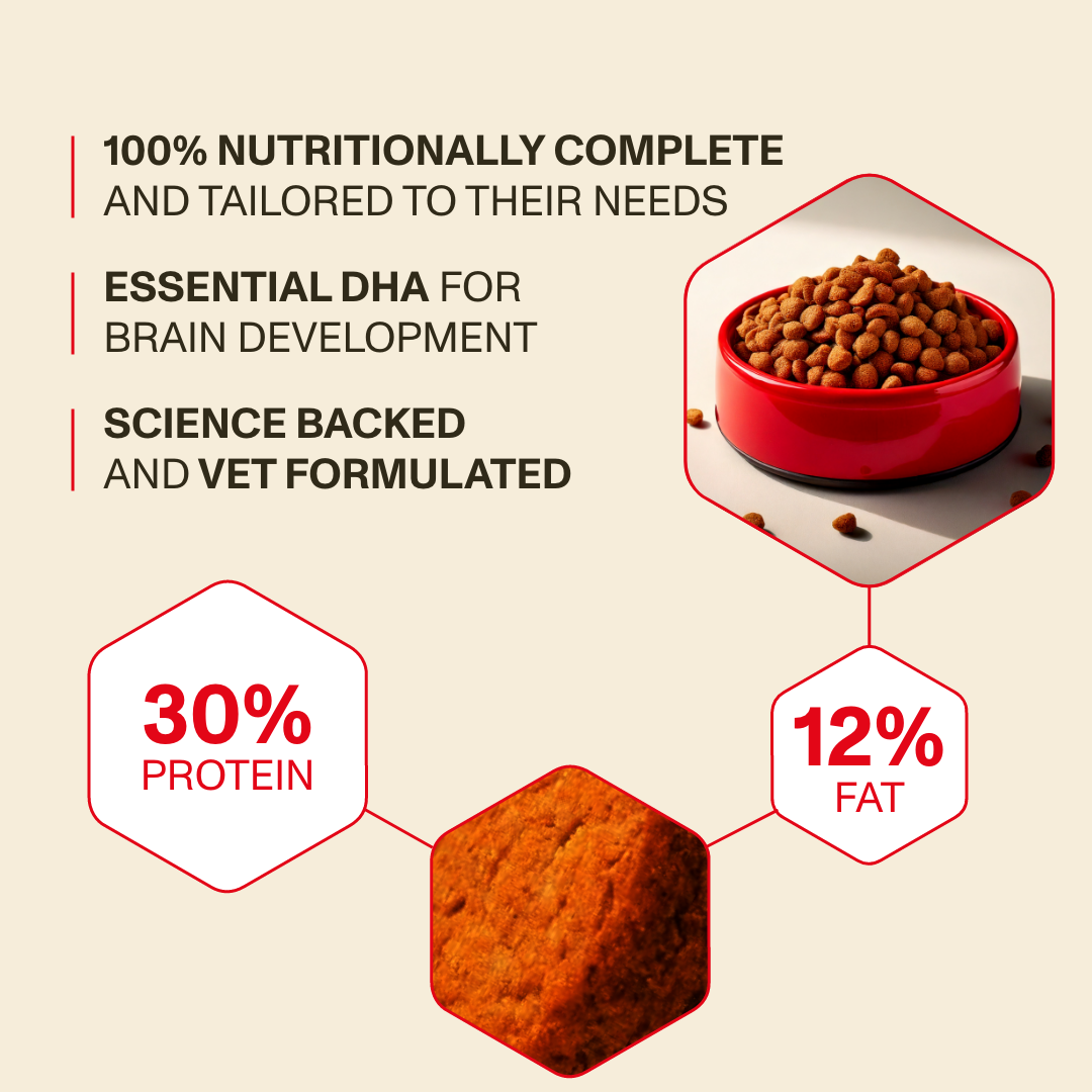 Dog food product with nutritional information on a beige background