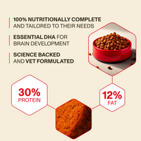 Dog food product with nutritional information on a beige background