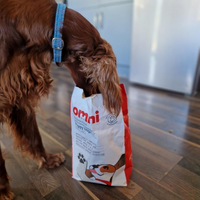 Dog sniffing an Omni dog food bag on a wooden floor.