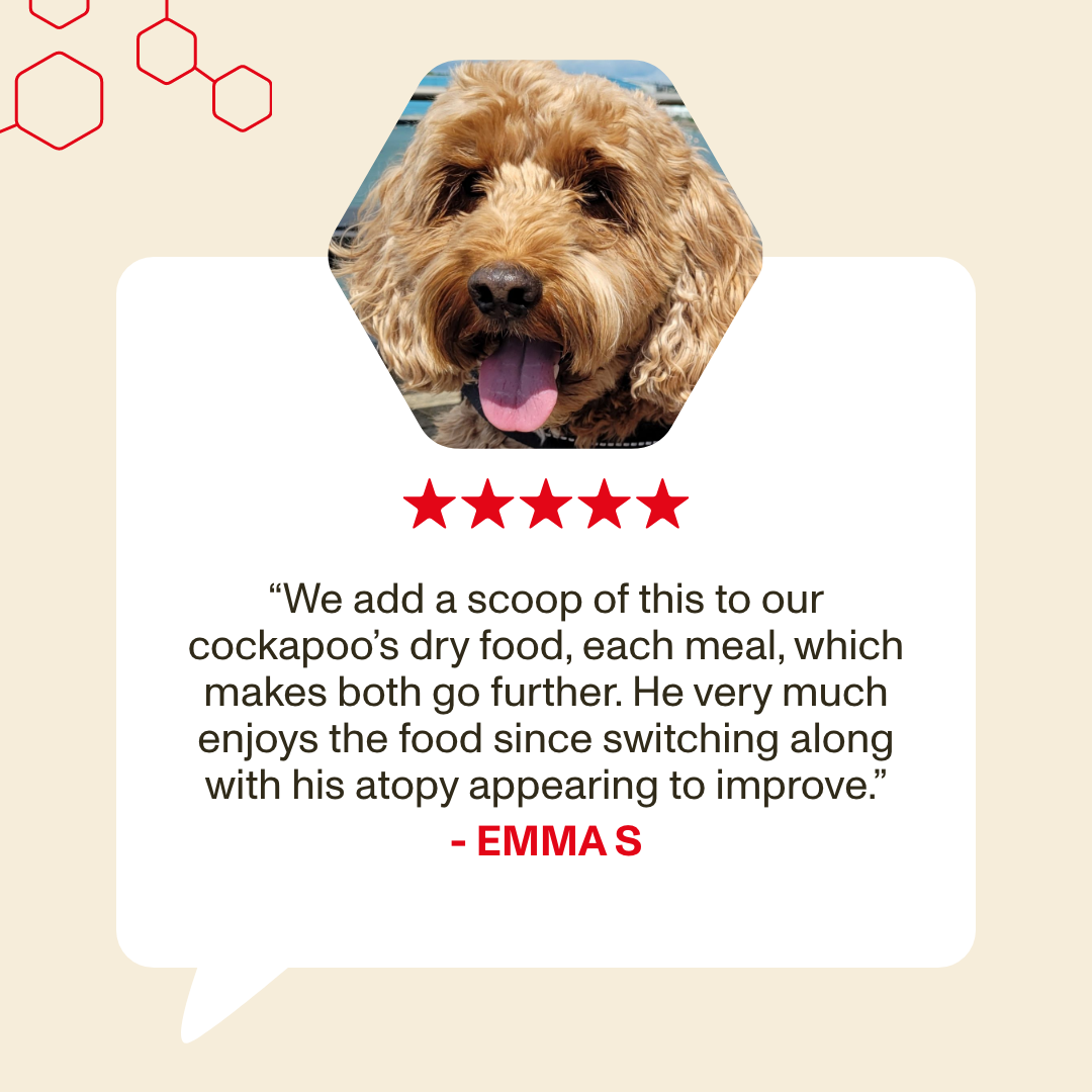 Dog with a five-star rating and customer review on a beige background